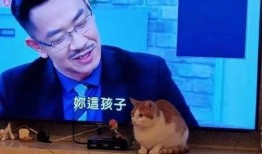 张桓最新爆料新闻报道视频,揭秘事件背后惊人真相